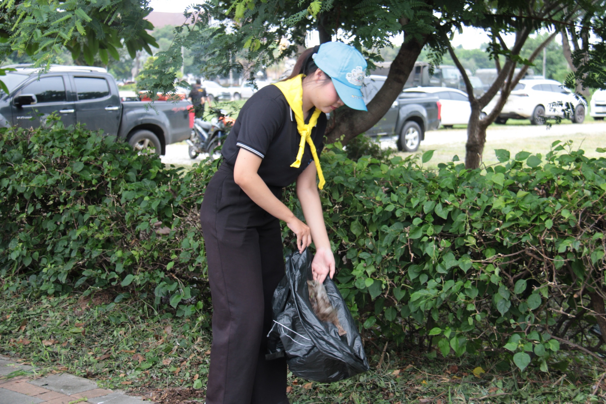 title - สำนักงานการปฏิรูปที่ดินจังหวัดเพชรบูรณ์ เข้าร่วมกิจกรรมจิตอาสาเฉลิมพระเกียรติพระบาทสมเด็จพระเจ้าอยู่หัวและสมเด็จพระนางเจ้าฯ พระบรมราชินี